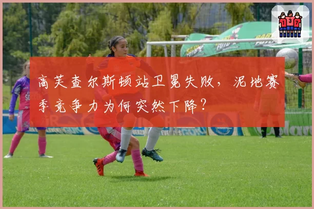 高芙查尔斯顿站卫冕失败,泥地赛季竞争力为何突然下降?